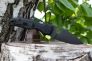 Нож "Shaman" Crucible CPM S30V G-10 229GPBK от Spyderco фото 5 &mdash; Kknife