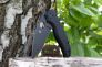 Нож "Shaman" Crucible CPM S30V G-10 229GPBK от Spyderco фото 2 &mdash; Kknife