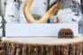 Поварской кухонный нож "Tenera" Carbon Spalted Beech 131202 от Boker Manufaktur Solingen фото 16 &mdash; Kknife