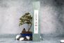 Нож кухонный Накири "Japanese Knife Series" Hitachi Shirogami Magnolia F-935 от Tojiro фото 17 &mdash; Kknife