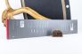 Нож шеф-повара "Grand Master" X55CrMo14 Polymer 7.7403.20G от Victorinox фото 12 &mdash; Kknife