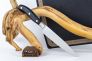 Нож шеф-повара "Grand Master" X55CrMo14 Polymer 7.7403.15G от Victorinox фото 4 &mdash; Kknife