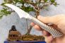 Нож кухонный овощной "Pro Series" Takefu VG-10 Stainless Steel F-843 от Tojiro фото 1 &mdash; Kknife