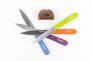 Набор ножей "Set of 4 N°112" Sandvik 12C27 Бук 001381 от Opinel фото 2 &mdash; Kknife