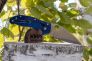 Нож "Manix 2 Lightweight" Carpenter CTS - BD1 Blue FRN 101PBL2 от Spyderco фото 7 &mdash; Kknife
