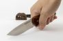 Нож Remington 420J2 Дерево R40000 от Buck Knives фото 10 &mdash; Kknife
