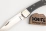 Нож "110 Folding Hunter Pro" Crucible CPM S30V G-10 0110BKSNS1 от Buck Knives фото 4 &mdash; Kknife