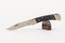 Нож "110 Folding Hunter Pro" Crucible CPM S30V G-10 0110BKSNS1 от Buck Knives фото 6 &mdash; Kknife