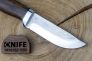 Нож "Клычок-2" 95Х18 Орех от Златоуст АиР фото 5 &mdash; Kknife