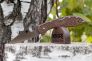 Нож "Delica 4" VG-10 Brown FRN 11FPBN от Spyderco фото 8 &mdash; Kknife