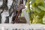 Нож "Delica 4" VG-10 Brown FRN 11FPBN от Spyderco фото 3 &mdash; Kknife
