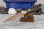 Нож для чистки овощей и фруктов "Saiun Damascus Series" Takefu VG-10 Micarta 9000 от Kanetsugu фото 9 &mdash; Kknife