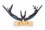 Мультитул "G109" 440C Stainless steel от Ganzo фото 8 &mdash; Kknife