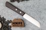 Нож для чистки овощей и фруктов "Special Offer Series" AUS-8 Stabilized Wood 2000 от Kanetsugu фото 2 &mdash; Kknife