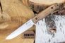 Нож "Alpha" 420HC Walnut от Kizlyar Supreme фото 2 &mdash; Kknife