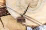 Нож "Alpha" 420HC Walnut от Kizlyar Supreme фото 12 &mdash; Kknife