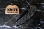 Нож "Nyxie" Crucible CPM S35VN Titanium / Carbon Fiber BT2209D от Bestech Knives фото 16 &mdash; Kknife