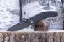 Нож "Kingbolt" 8Cr13MoV Black Stainless Steel 1346 от Kershaw фото 7 &mdash; Kknife
