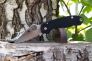 Нож "Para 3" Crucible CPM S30V G-10 223GS от Spyderco фото 5 &mdash; Kknife