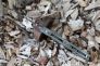 Нож "Para 3" Crucible CPM-S30V G-10 223GPCMO от Spyderco фото 15 &mdash; Kknife