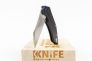 Нож "Firebird FH31-CF" D2 Carbon Fiber от Ganzo фото 1 &mdash; Kknife