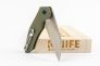 Нож "Firebird FH31-GR" D2 Olive G-10 от Ganzo фото 2 &mdash; Kknife