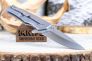 Нож "Odessa" 7Cr13 Stainless Steel 0254SSS от Buck Knives фото 16 &mdash; Kknife