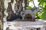 Нож "Para 3" Crucible CPM S30V G-10 223GPCMOBK от Spyderco фото 5 &mdash; Kknife