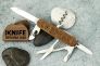 Нож "Climber Wood Swiss Spirit" X55CrMo14 Walnut 1.3701.63L21 Special Edition 2021 от Victorinox фото 3 &mdash; Kknife