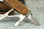 Нож "Climber Wood Swiss Spirit" X55CrMo14 Walnut 1.3701.63L21 Special Edition 2021 от Victorinox фото 9 &mdash; Kknife