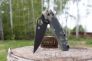 Нож "Para Military 2" Crucible CPM S30V G-10 81GPCMOBK2 от Spyderco фото 12 &mdash; Kknife