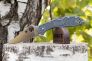 Нож "Delica 4" VG-10 Gray FRN C11FPGY от Spyderco фото 11 &mdash; Kknife