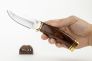 Нож "Vanguard" 420НС Stabilized Wood 0192BRSDPO1 от Buck Knives фото 1 &mdash; Kknife