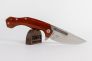 Нож "Desert Fox" Cocobolo Wood, N690 by Boris Manasherov Fox Knives FX-520 CB фото 10 &mdash; Kknife