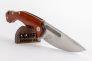 Нож "Desert Fox" Cocobolo Wood, N690 by Boris Manasherov Fox Knives FX-520 CB фото 12 &mdash; Kknife
