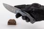 Нож "Desert Fox" Blue Titanium Damasteel by Boris Manasherov Fox Knives FX-521DLB фото 1 &mdash; Kknife