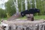 Нож "Tenacious" 8Cr13MoV G-10 122GS от Spyderco фото 6 &mdash; Kknife