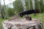 Нож "Tenacious Lightweight" 8Cr13MoV Black FRN 122SBK от Spyderco фото 6 &mdash; Kknife
