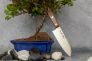 Нож кухонный Сантоку "Tojuro Series" Stainless Steel MoV Stabilized Wood TJ-52 от Fuji Cutlery Co. фото 1 &mdash; Kknife