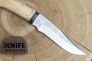 Нож "Хазар" Bohler-Uddeholm K340 Карельская Береза от Златоуст АиР фото 6 &mdash; Kknife