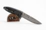 Нож "Firebird F620-B2" 440C Black ABS от Ganzo фото 8 &mdash; Kknife