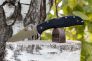 Нож "Endela" Lightweight  VG-10 Black FRN SC243PBK от Spyderco фото 8 &mdash; Kknife
