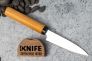 Нож для чистки овощей и фруктов "Select100 Series" Daido DSR1K6 Сherry Wood DG-3002 от KAI фото 6 &mdash; Kknife