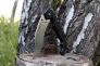Нож "Voyager Extra Large Vaquero Plain Edge" AUS 10A Grivory 29AXV от Cold Steel фото 5 &mdash; Kknife