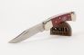 Нож "110 Folding Hunter Chairman" 420НС 0110CWSNK от Buck Knives фото 7 &mdash; Kknife