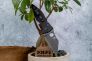 Нож "Yojimbo" Crucible CPM S30V Black G-10 85GPBBK2 от Spyderco фото 2 &mdash; Kknife