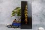 Набор кухонных ножей "Tojuro Series" SK5 Stabilized Wood TJ-GIFTSET-A от Fuji Cutlery Co. фото 17 &mdash; Kknife